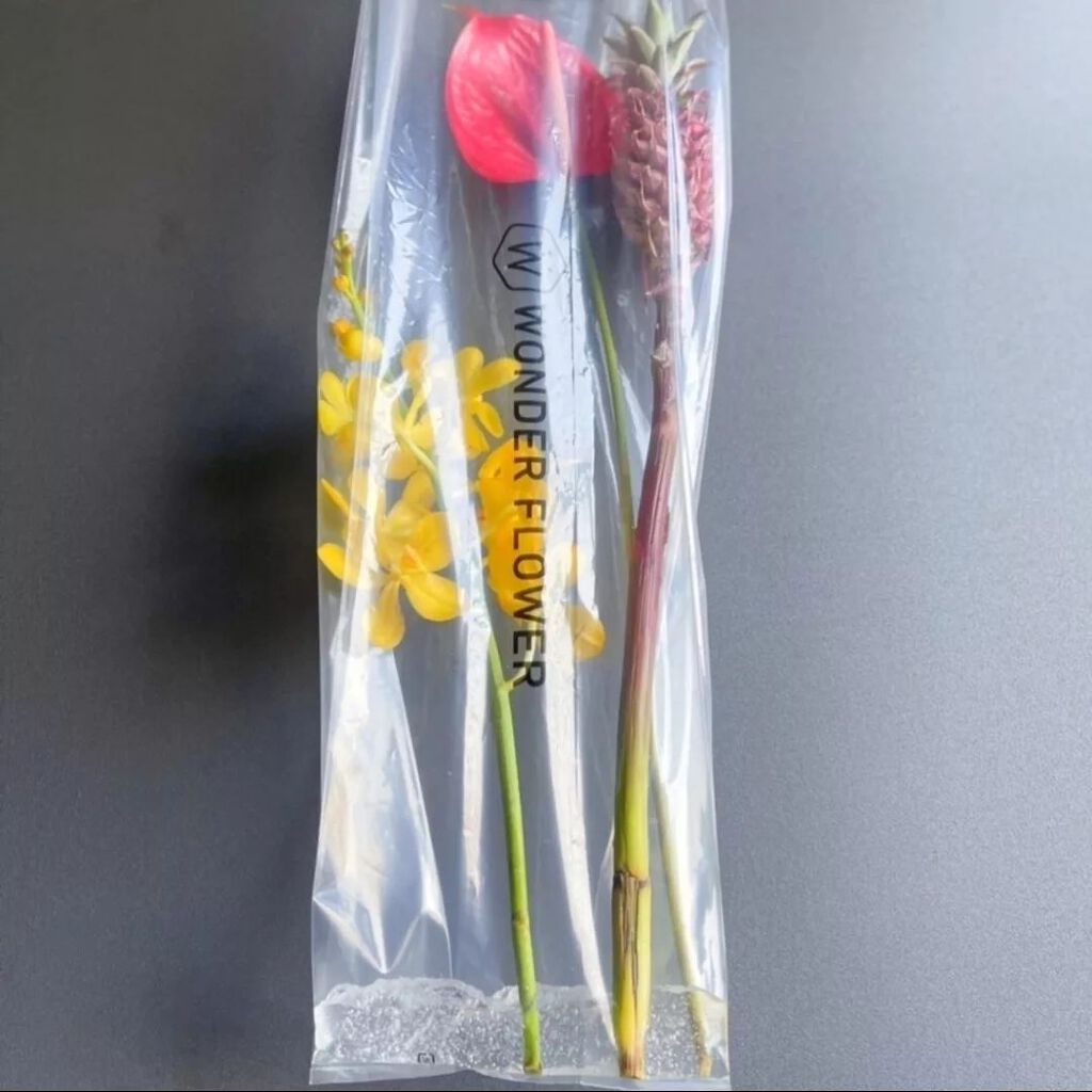 ハナノヒ サブスク/ハナノヒ/その他を使ったクチコミ（3枚目）