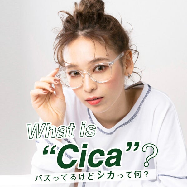 【What is " Cica"?】バズってるシカとは
