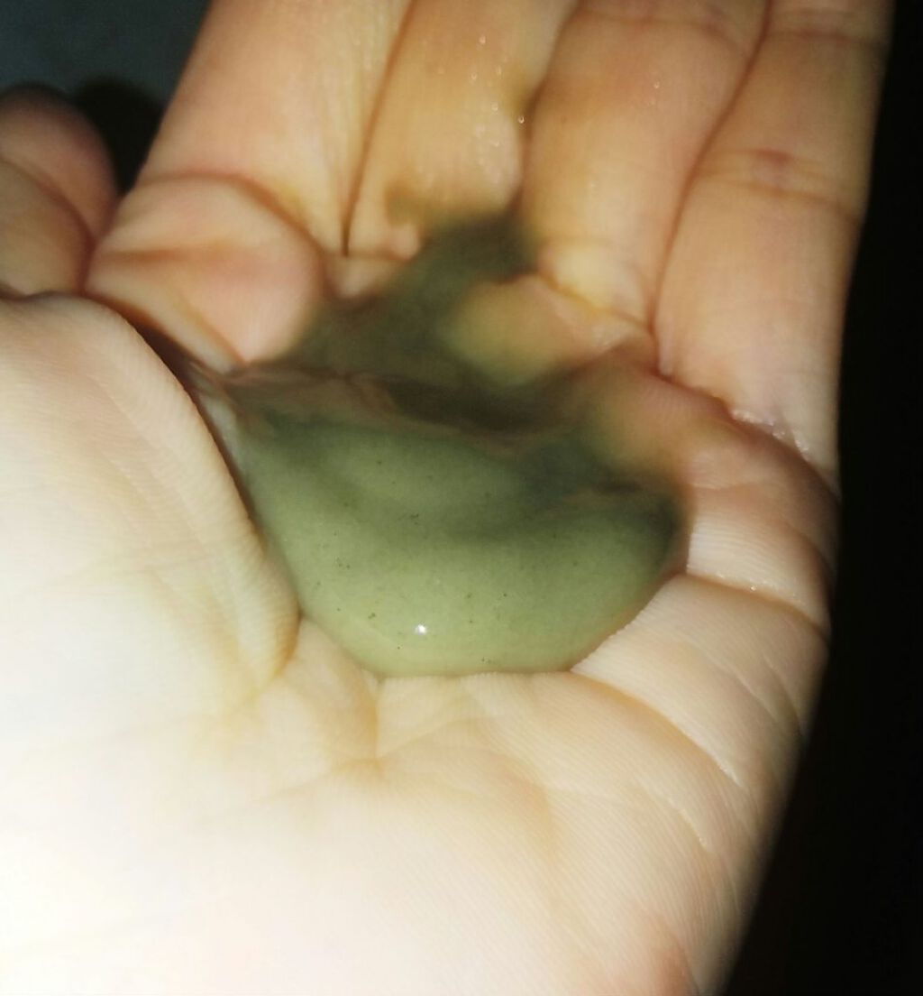 15秒洗顔パック/麗凍化粧品/その他洗顔料を使ったクチコミ（2枚目）