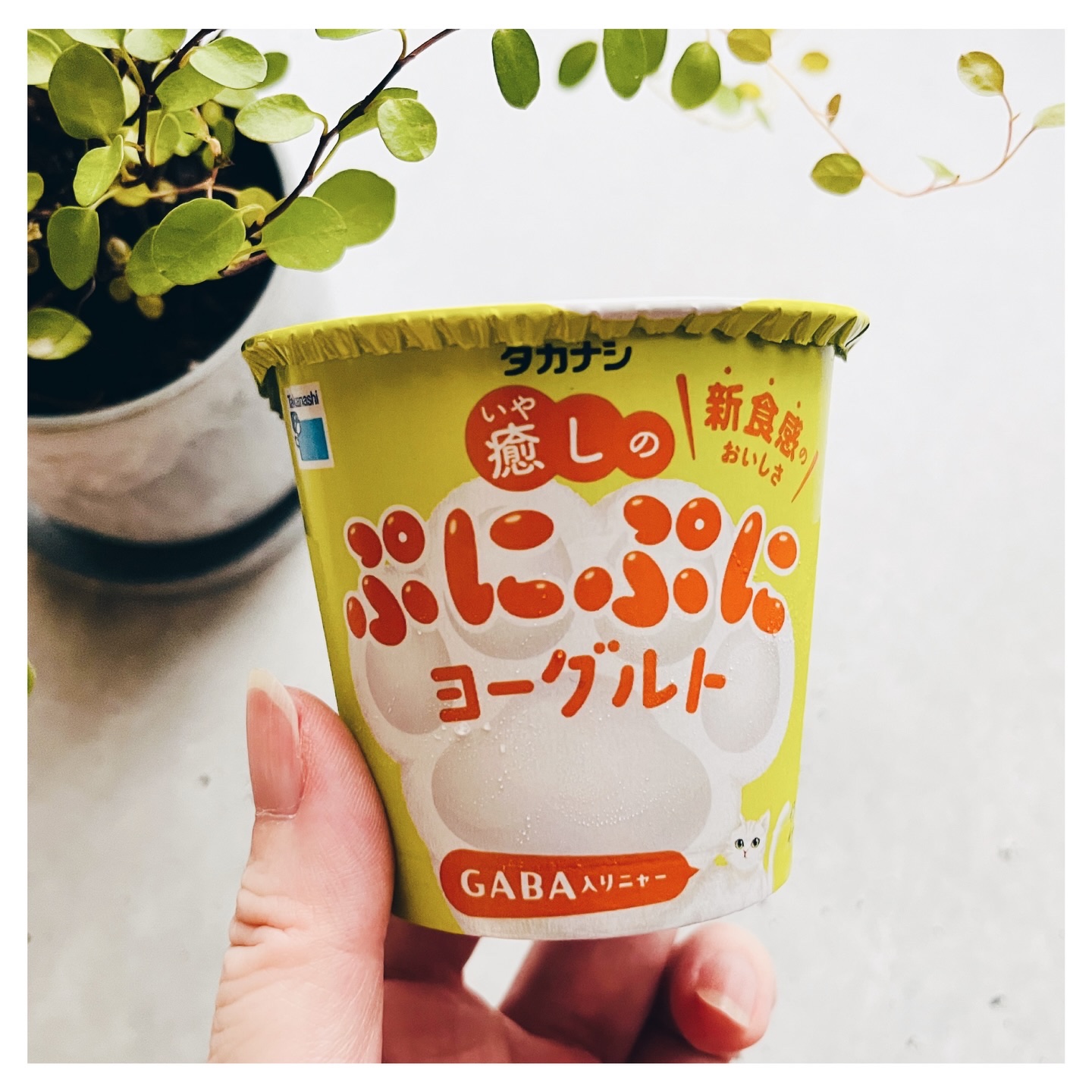 癒しのぷにぷにヨーグルト/タカナシ乳業/ヨーグルトを使ったクチコミ（3枚目）