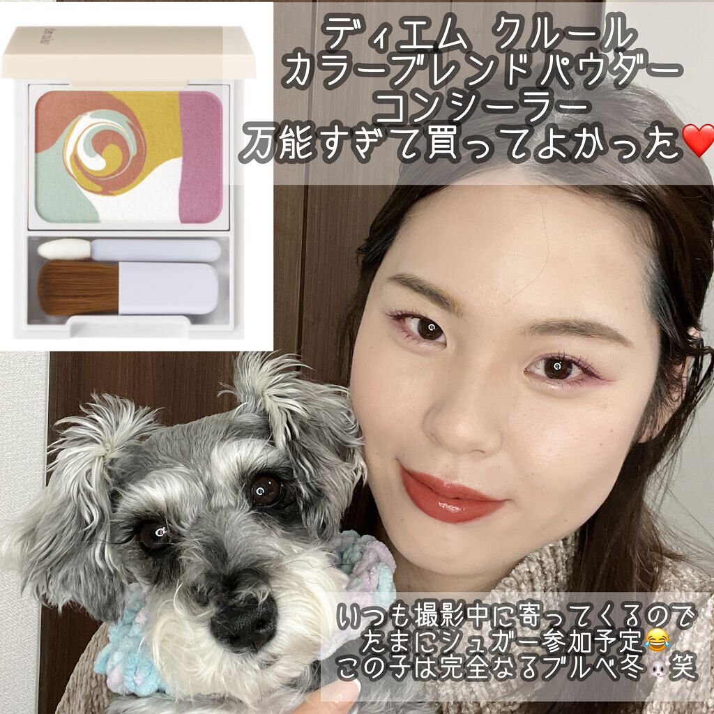 ディエム クルール カラーブレンドパウダーコンシーラー/ディエム クルール/パウダーコンシーラーを使ったクチコミ(1枚目)