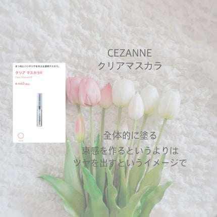 このは on LIPS 「#𝙷𝚎𝚕𝚕𝚘今回はスクールメイク紹介❕全て1000円以下のコ..」(7枚目)