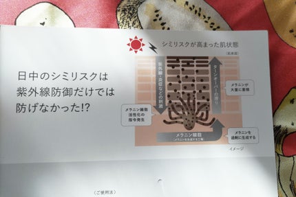 薬用 日中美白美容液UV/HAKU/日焼け止めローションを使ったクチコミ(5枚目)