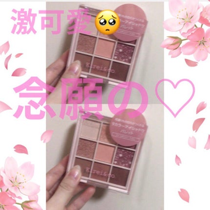 アイシャドウパレット/Kirei&co./アイシャドウパレットを使ったクチコミ(1枚目)