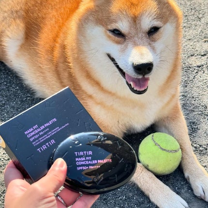 マスクフィット コンシーラーパレット/TIRTIR(ティルティル)/パレットコンシーラーを使ったクチコミ(1枚目)