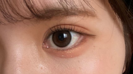 シャドウパレット/dasique/アイシャドウパレットを使ったクチコミ(3枚目)