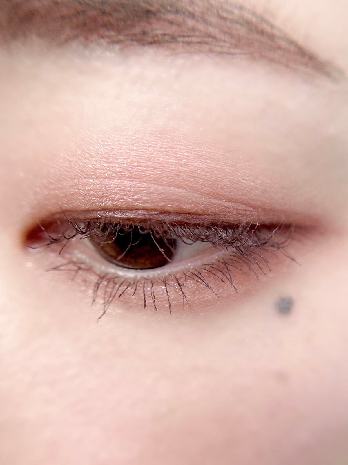 トーンアップアイシャドウ/CEZANNE/アイシャドウパレットを使ったクチコミ(5枚目)