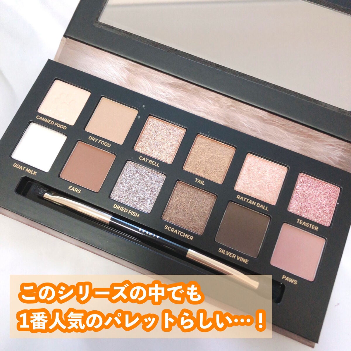 エクスプローラ12色 動物アイシャドウパレット/PERFECT DIARY/アイシャドウパレットを使ったクチコミ(2枚目)