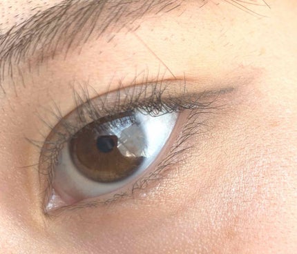 カラーステイ ルックス ブック パレット/REVLON/アイシャドウパレットを使ったクチコミ(1枚目)