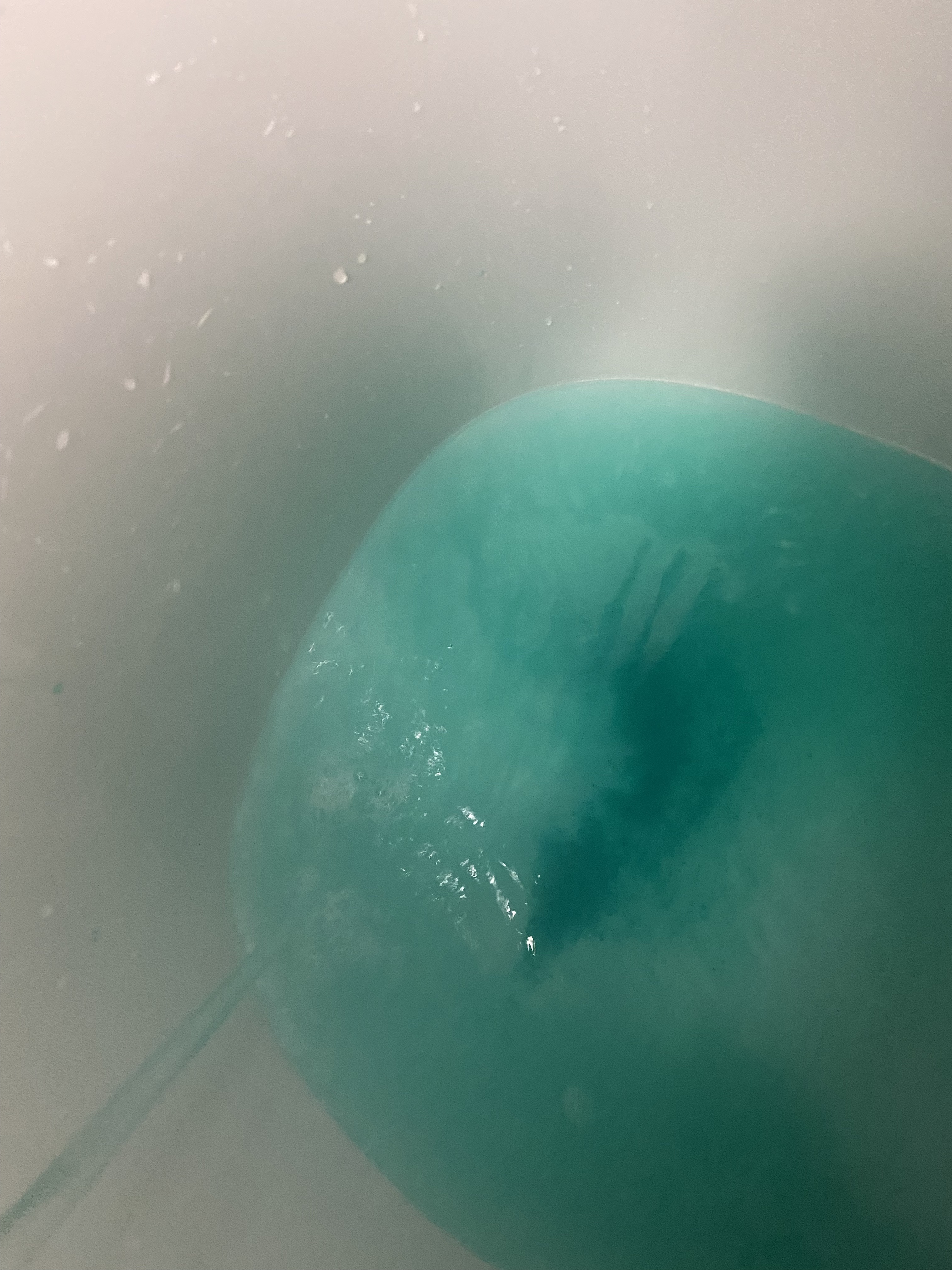 クナイプ バスソルト ライムミントの香り/クナイプ/無機塩系入浴剤を使ったクチコミ（2枚目）