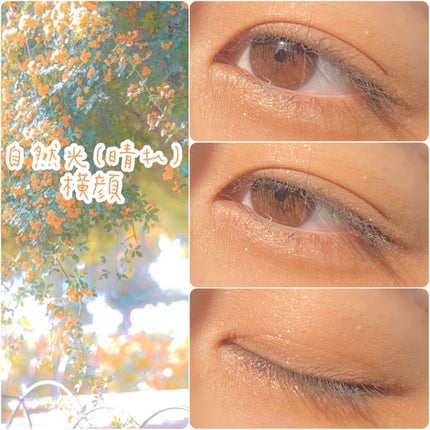 パーフェクトマルチアイズ/キャンメイク/アイシャドウパレットを使ったクチコミ(10枚目)