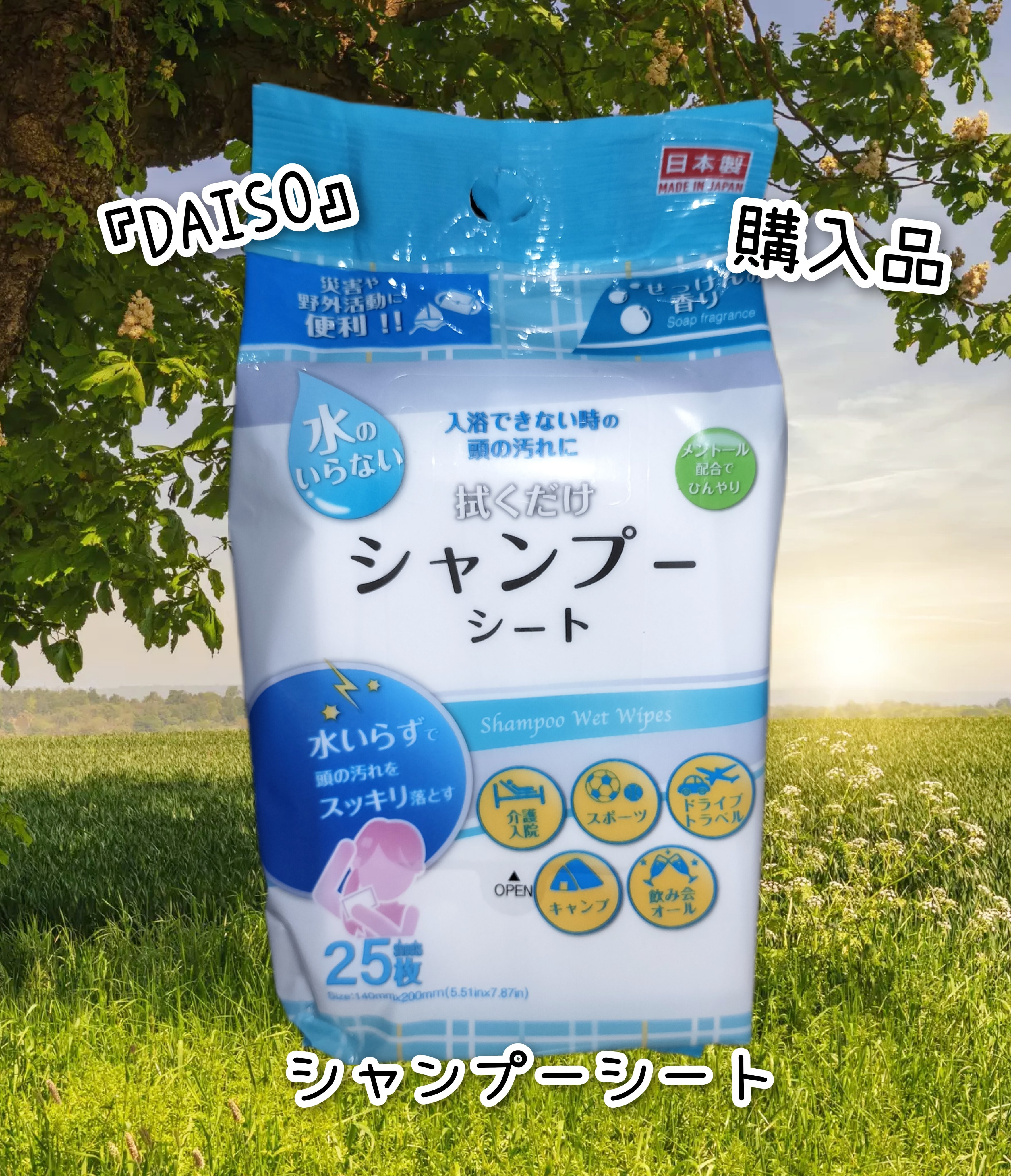 DAISO シャンプーシートのクチコミ「⭐シャンプーシート⭐


#DAISO#購入品
#DAISO商品


『シャンプーシート』
🧷.....」（1枚目）