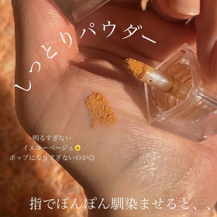 ミニエアリーディップパウダー/Fujiko/単色アイシャドウを使ったクチコミ(3枚目)