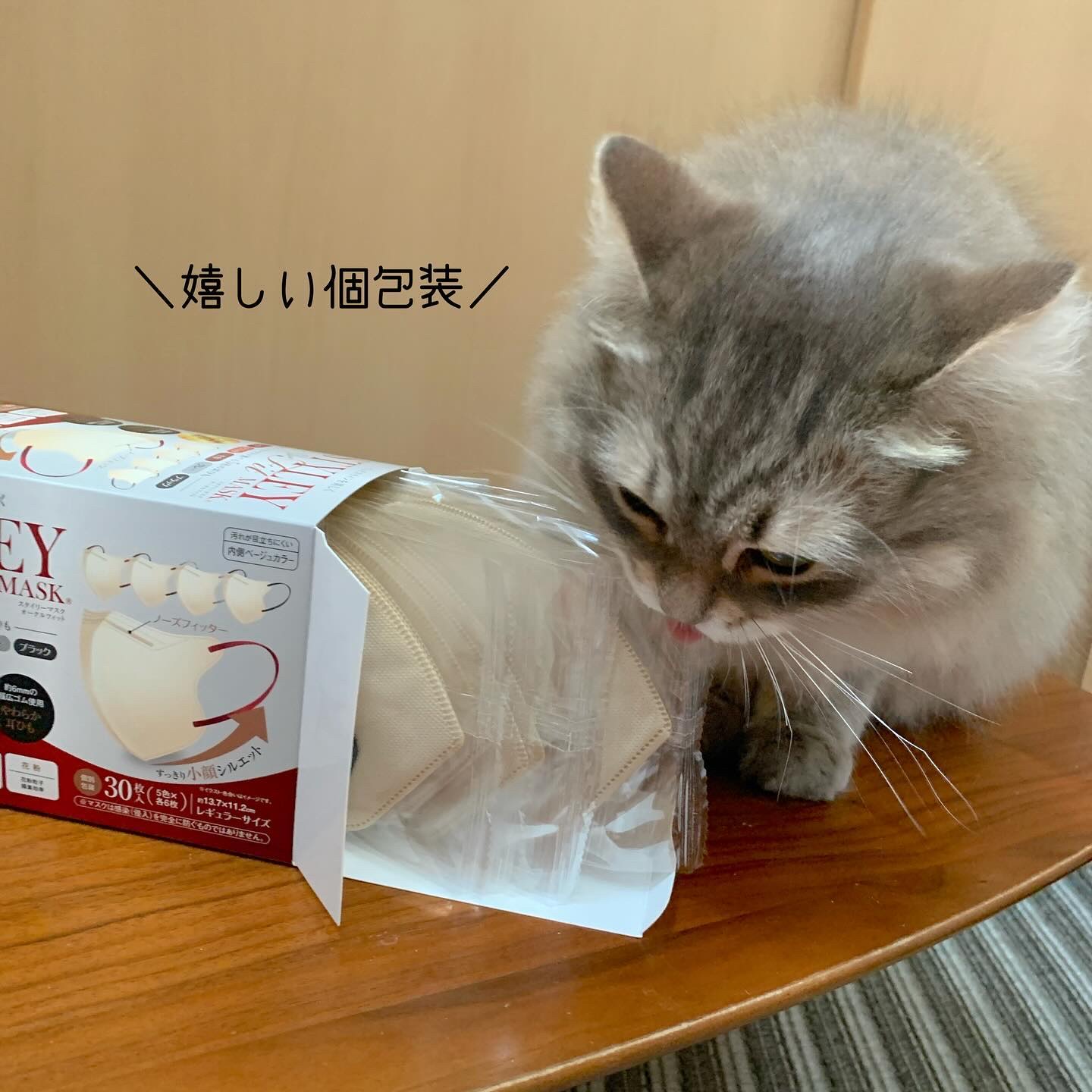 スタイリーマスク　オークル（耳ひも５色）/やまと工業/マスクを使ったクチコミ（2枚目）