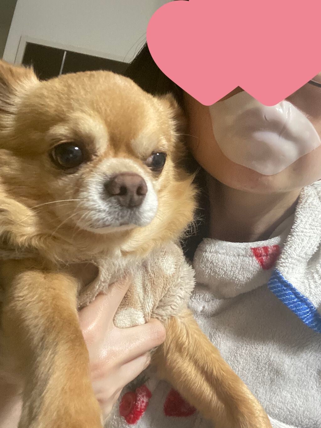 ミルキー うるりんリップパック/CHOOSY/リップマスクを使ったクチコミ(4枚目)