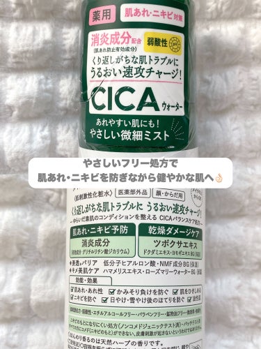 薬用 CICA ウォーターミスト 150g/タイガレイド/ミスト状化粧水を使ったクチコミ（3枚目）