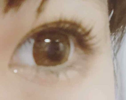 アイラッシュカーラー /SHISEIDO/ビューラーを使ったクチコミ(3枚目)