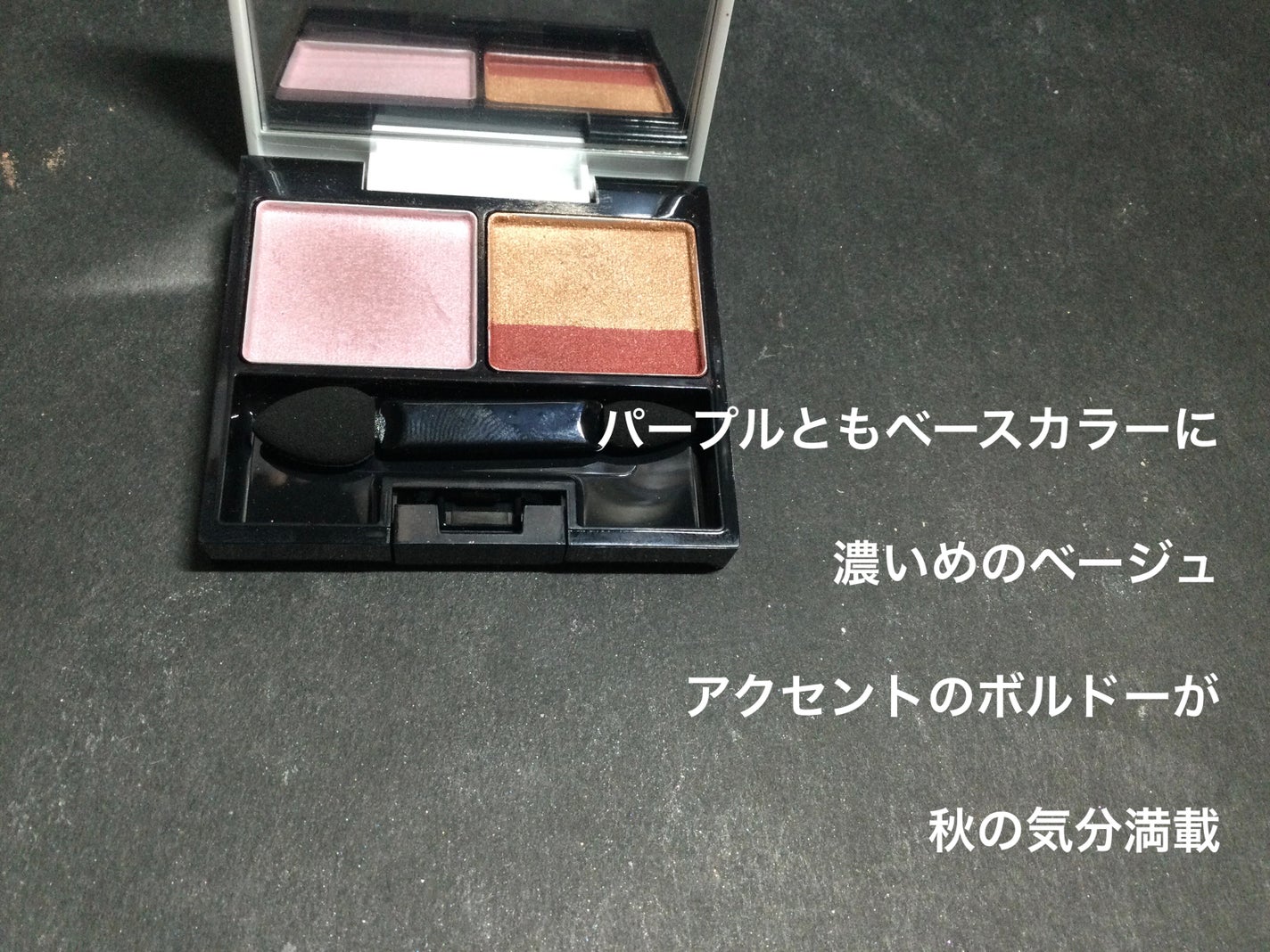 スキンフィットアイズ/リサージ/アイシャドウパレットを使ったクチコミ(2枚目)