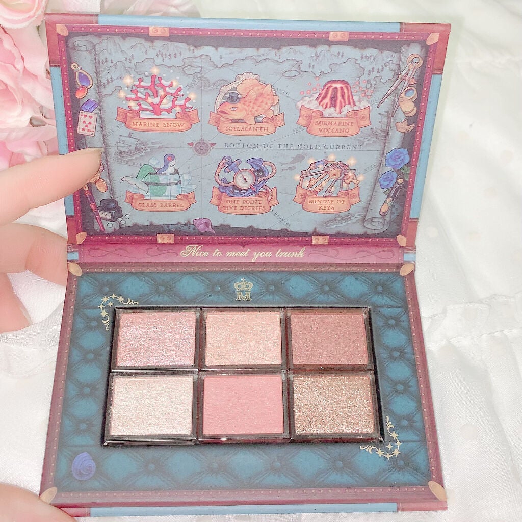 ナイストゥミーチュートランク/MAJOLICA MAJORCA/アイシャドウパレットを使ったクチコミ(2枚目)