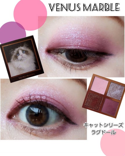 Venus Marble アイシャドウキャットシリーズ/Venus Marble/アイシャドウパレットを使ったクチコミ(1枚目)