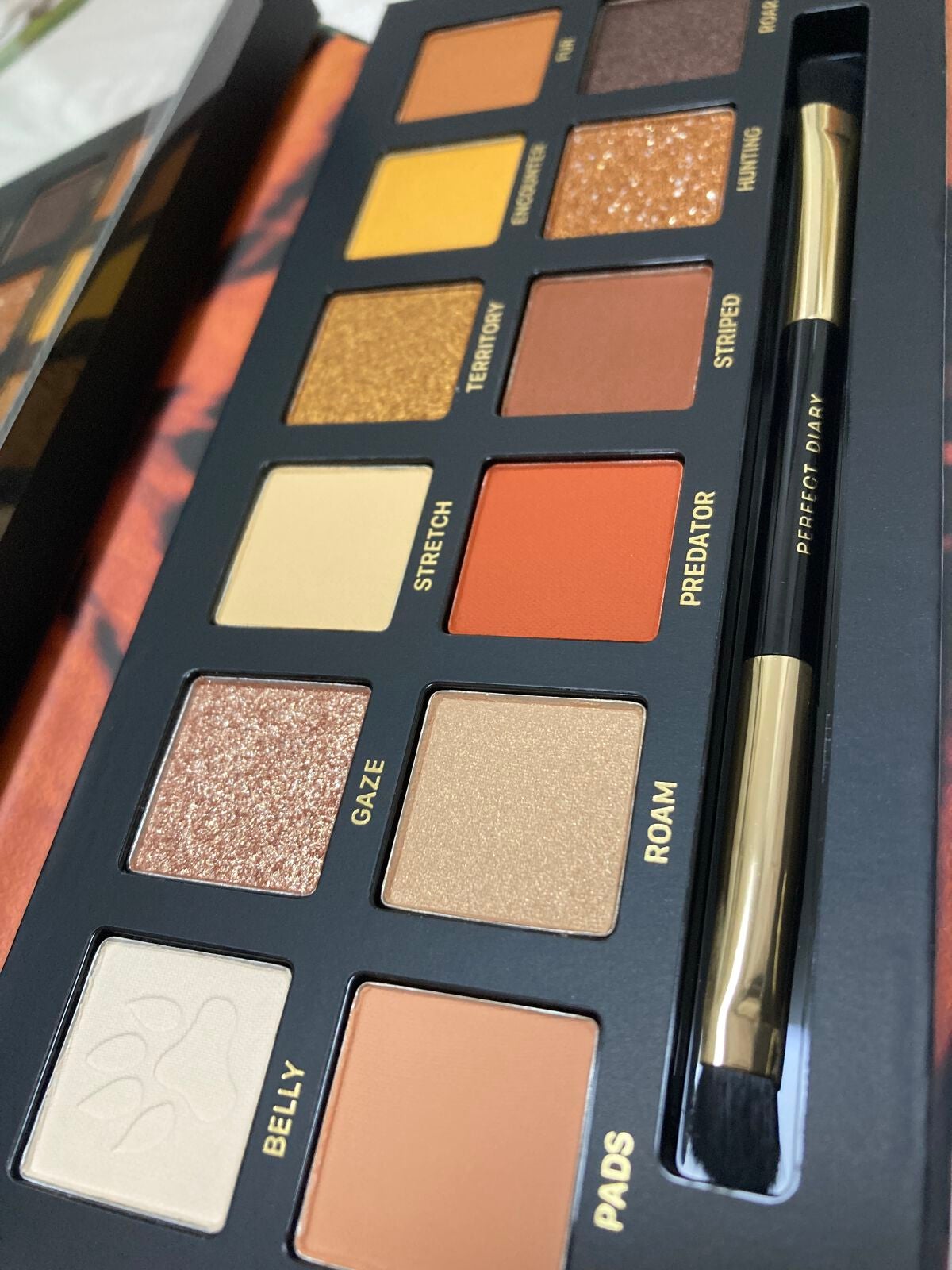 エクスプローラ12色 動物アイシャドウパレット/PERFECT DIARY/アイシャドウパレットを使ったクチコミ(3枚目)