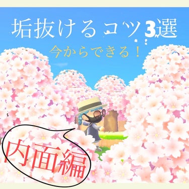 
垢抜けるコツ    内面編ですଘ(੭ˊ꒳​ˋ)੭✧


人は見た目が9割と言いますが、内面も大切です(  • ̀ω ⁃᷄)✧ｷﾘｯ(←知っとるわっ！)





これから書いていきたいんですけども、は