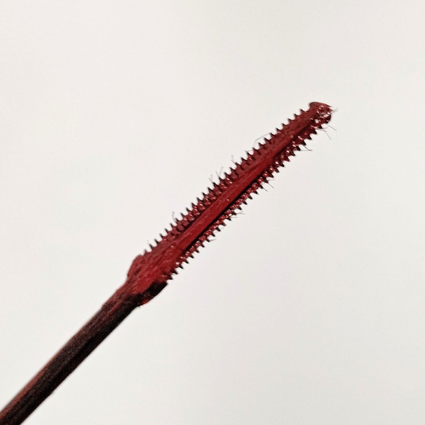 ラッシュマキシマイザーHP/KATE/マスカラ下地を使ったクチコミ(6枚目)