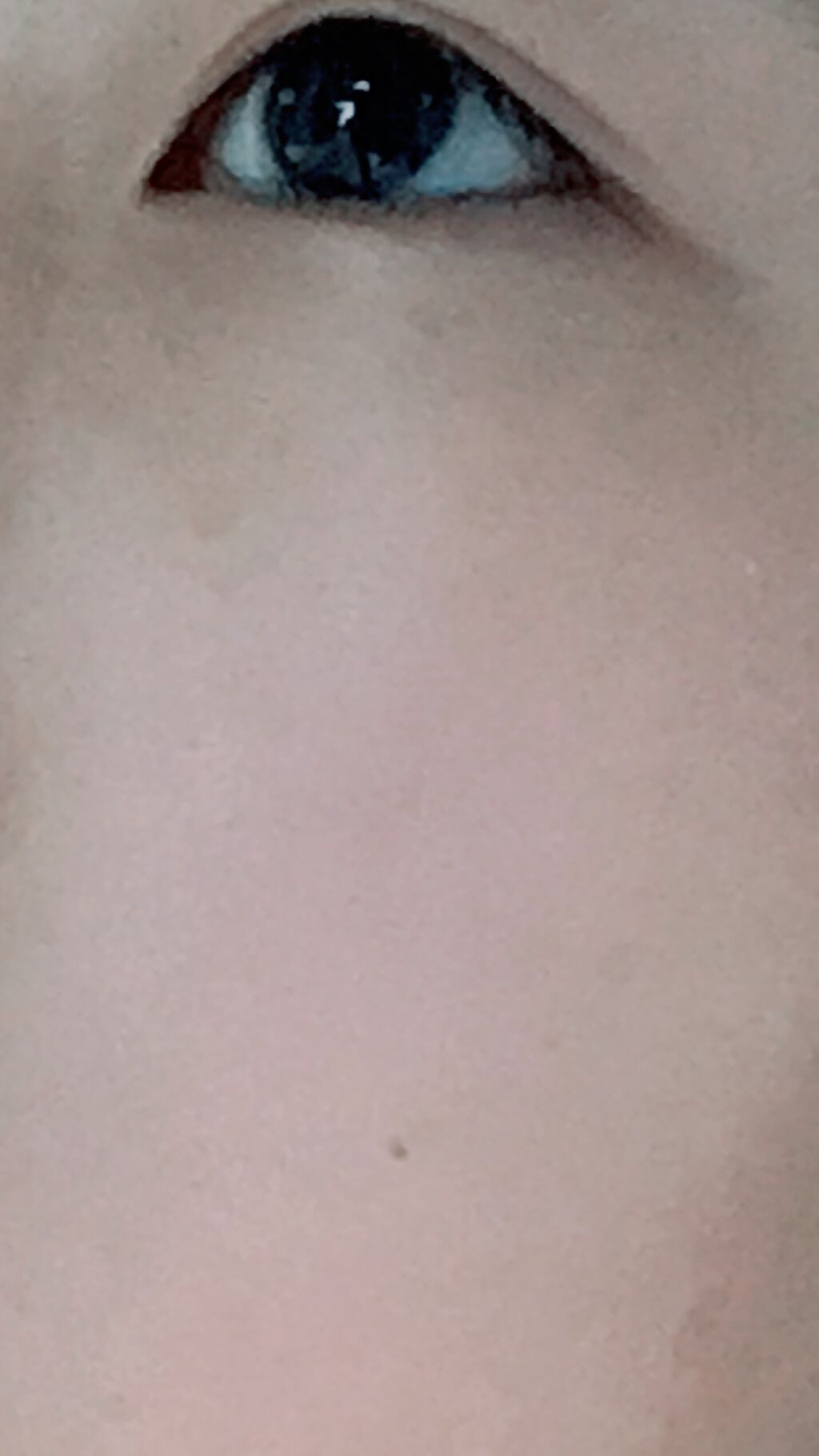 ノーセバム ミネラルパウダー/innisfree/ルースパウダーを使ったクチコミ（1枚目）