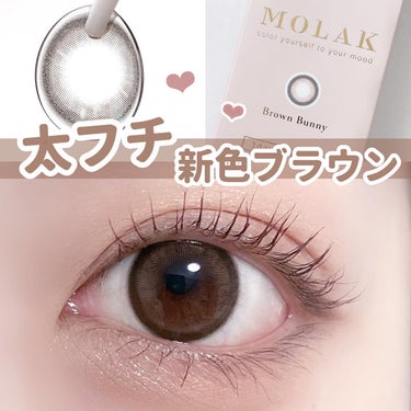 MOLAK 1day ブラウンバニー/MOLAK/ワンデー（１DAY）カラコンを使ったクチコミ（1枚目）