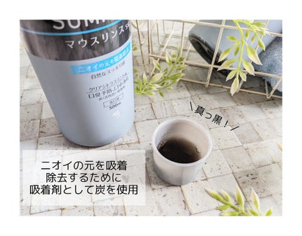 SUMIGAKI/マウスリンスSG /小林製薬/マウスウォッシュ・スプレーを使ったクチコミ(2枚目)