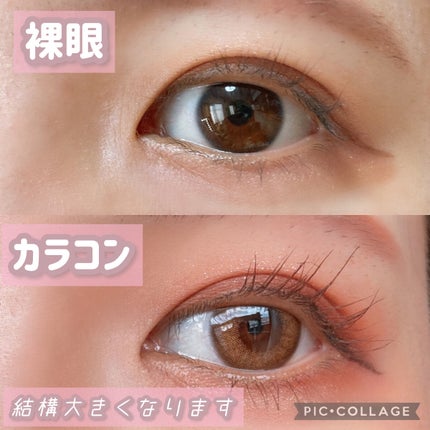 MOLAK 1day/MOLAK/ワンデー(1DAY)カラコンを使ったクチコミ(3枚目)