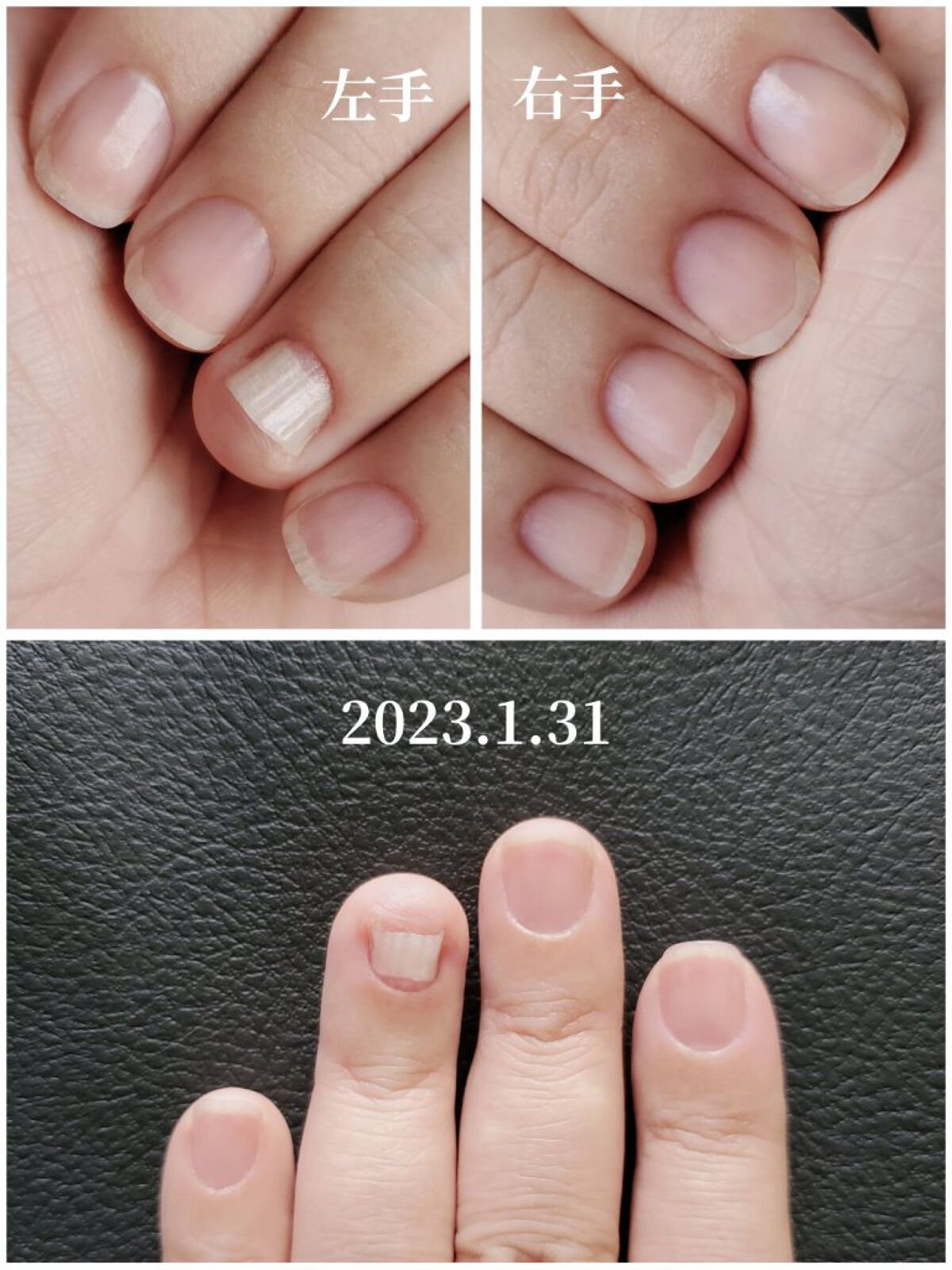 スクワラン/KISO/フェイスオイルを使ったクチコミ（2枚目）