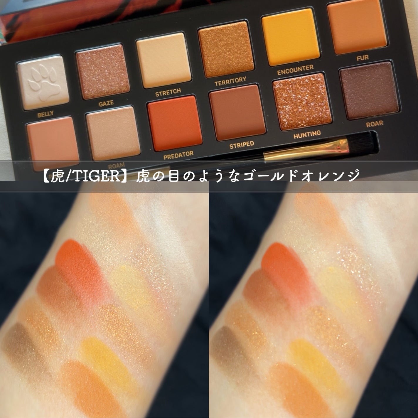 エクスプローラ12色 動物アイシャドウパレット/PERFECT DIARY/アイシャドウパレットを使ったクチコミ(3枚目)