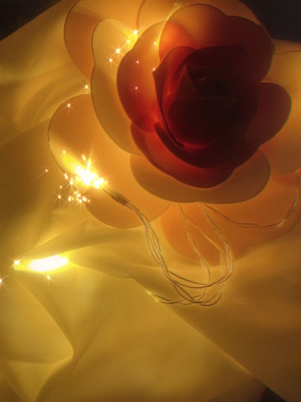 LEDケーブルライト/セリア/その他を使ったクチコミ(2枚目)