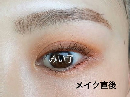 アイフィックスプライマー/ETUDE/アイシャドウベースを使ったクチコミ(5枚目)