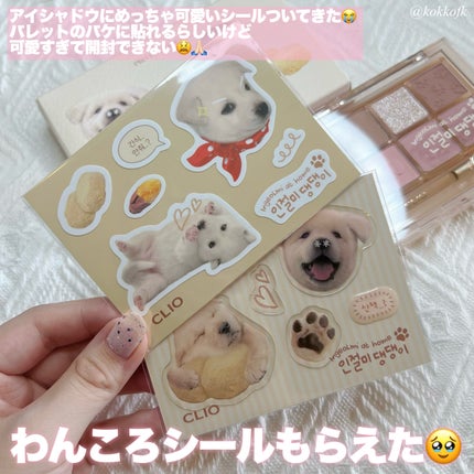 プロ アイ パレット/CLIO/アイシャドウパレットを使ったクチコミ(4枚目)