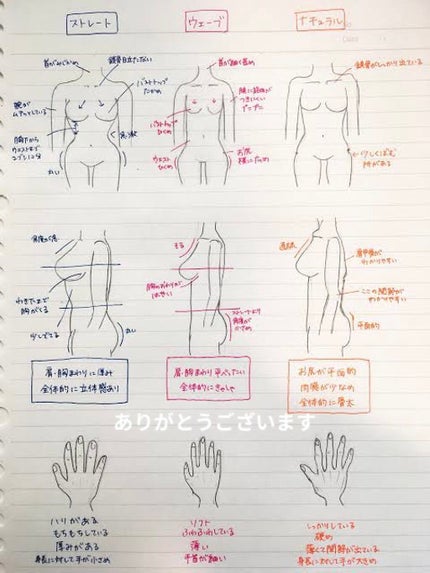 @フォロバ100 on LIPS 「【自分の骨格を見直してみませんか?】-☁️🦴骨格診断💭❔-最初..」(9枚目)