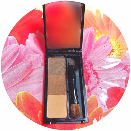 3カラーアイブロウパレット/エンジェルハート/パウダーアイブロウを使ったクチコミ(3枚目)