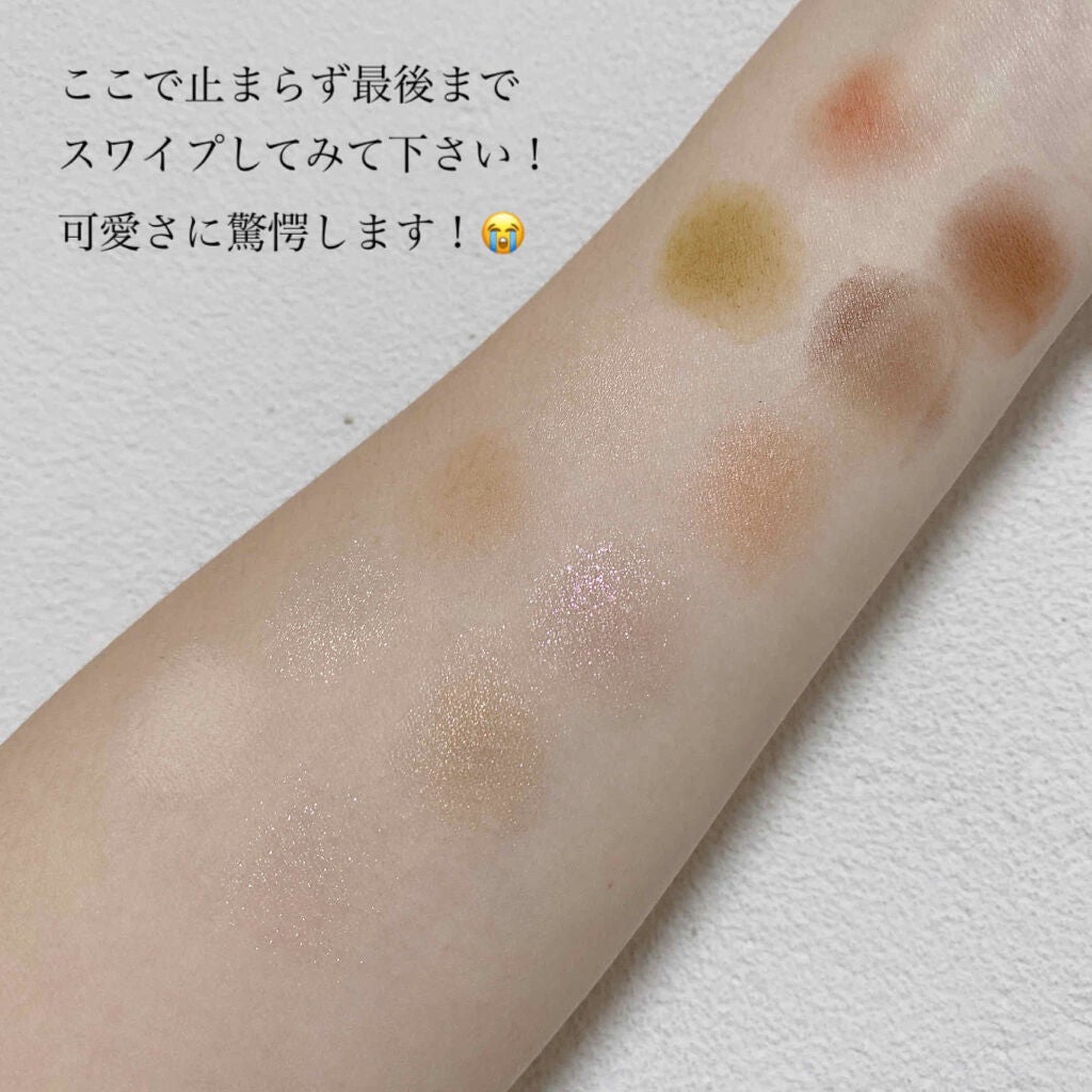 エクスプローラ12色 動物アイシャドウパレット/PERFECT DIARY/アイシャドウパレットを使ったクチコミ(3枚目)