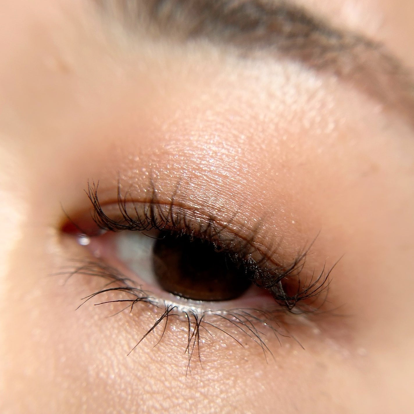 ルナソル アイカラーレーションN/LUNASOL/アイシャドウパレットを使ったクチコミ(6枚目)