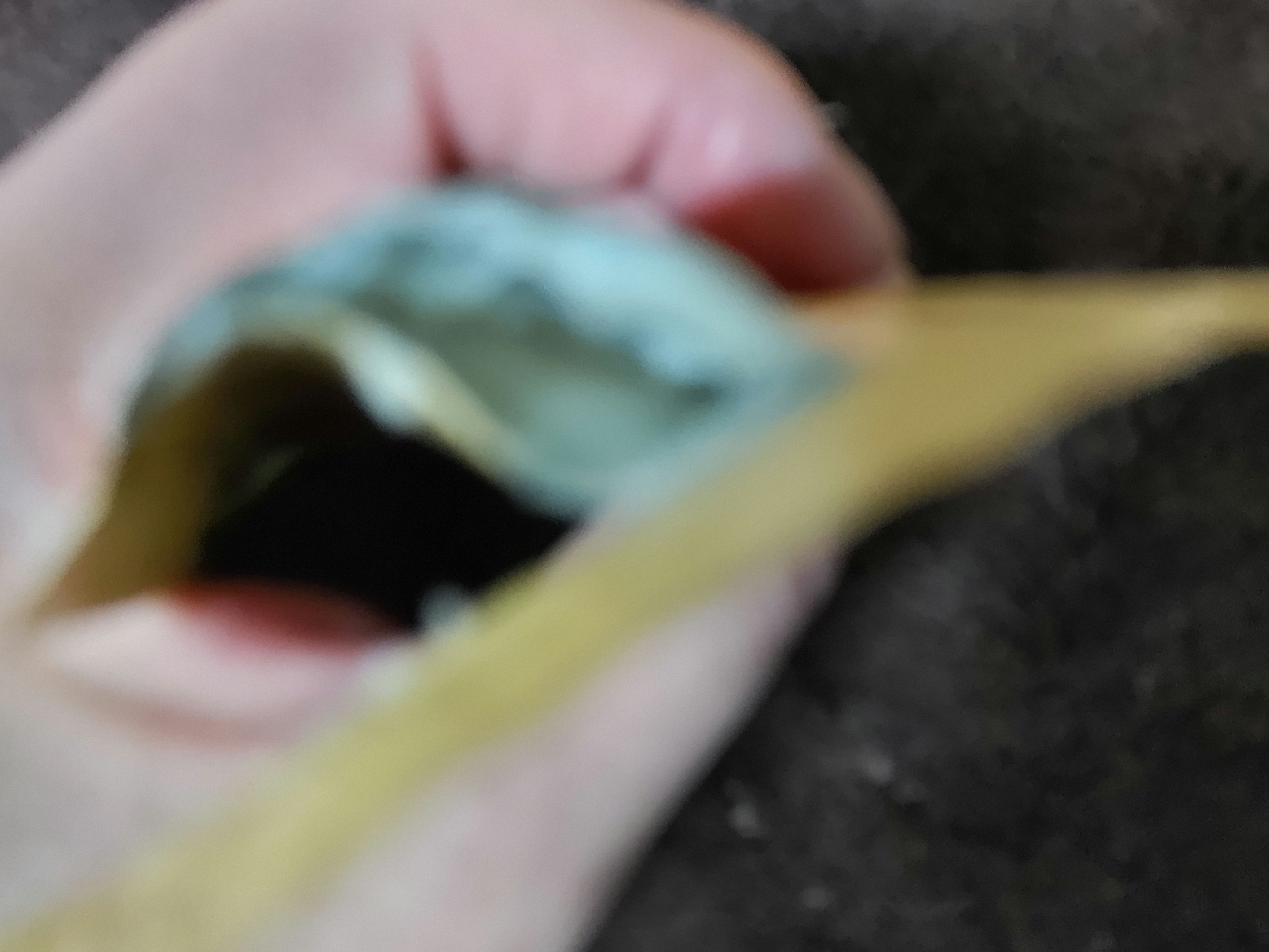 アロマエステ ヘアソープ48／ヘアマスク48/ラ・カスタ/市販シャンプーを使ったクチコミ（3枚目）