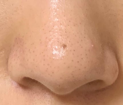 ã䜿ã£ãã¯ãã³ãïŒ1æç®ïŒ