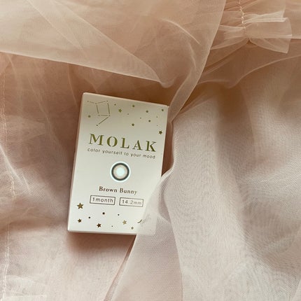 MOLAK 1month ブラウンバニー/MOLAK/1ヶ月(1MONTH)カラコンを使ったクチコミ(1枚目)