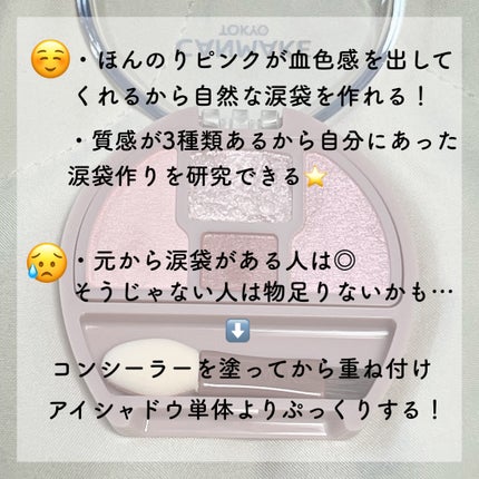 プランぷくコーデアイズ/キャンメイク/パウダーアイシャドウを使ったクチコミ(3枚目)