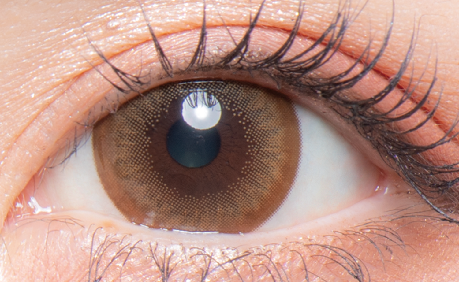 colors 1day メガナチュラルブラウン