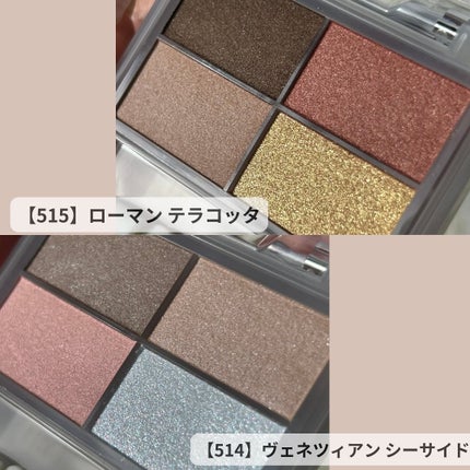 フェイスカラーパレット/チャコット・コスメティクス/アイシャドウパレットを使ったクチコミ(3枚目)