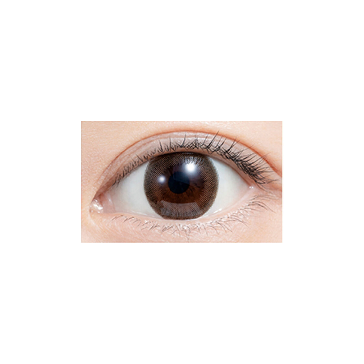 feliamo 1day カプチーノ