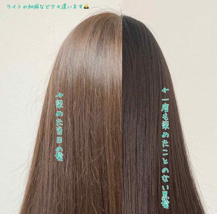 泡カラー/リーゼ/ヘアカラーを使ったクチコミ(2枚目)