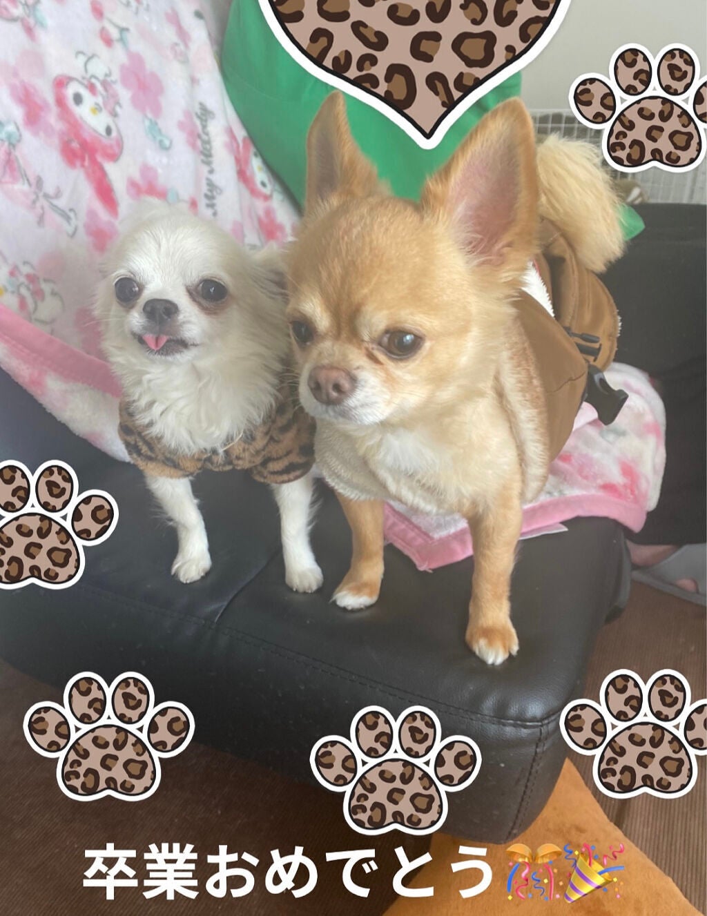 リッププランパー/otona couture/リッププランパーを使ったクチコミ(9枚目)