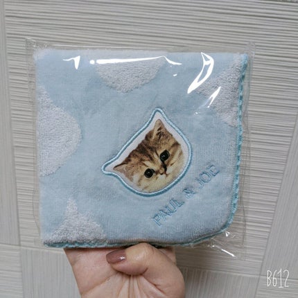 メイクアップ コレクション 2021/PAUL & JOE BEAUTE/メイクアップキットを使ったクチコミ(2枚目)